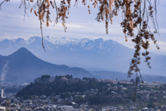 川田の桜　（武尊山、）