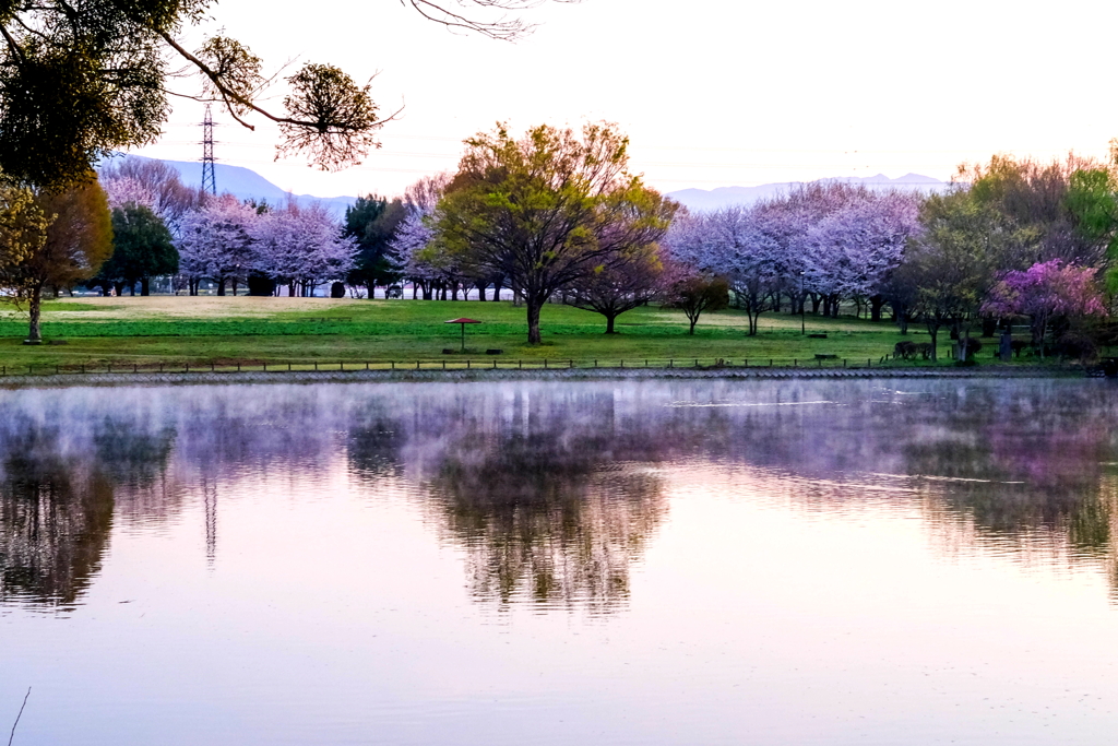 春の気嵐