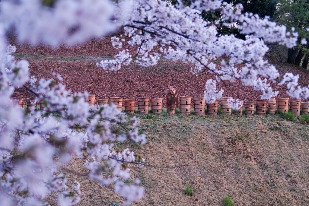 散歩道