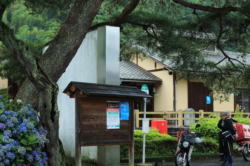 雨宿り、