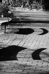 波志江沼の散歩道