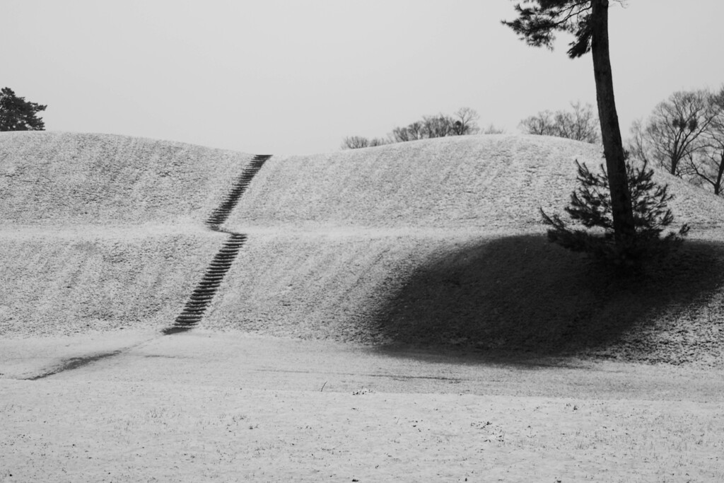 雪の朝　