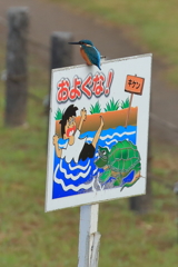 僕は大丈夫ですか？