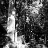 赤城神社　