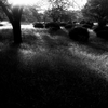 大室公園,