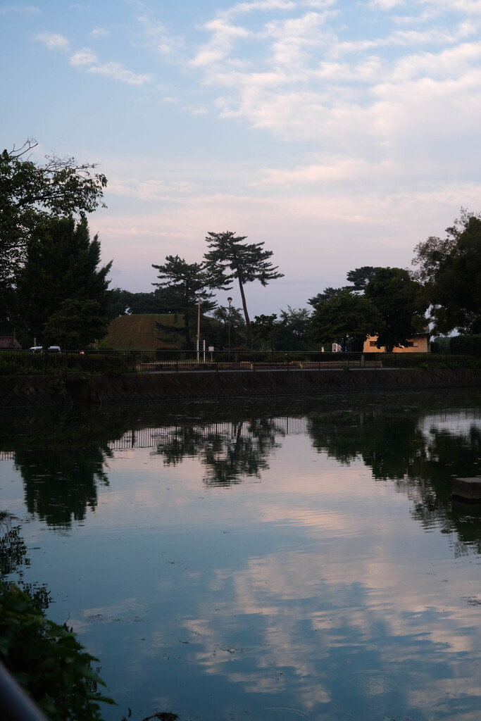 散歩道