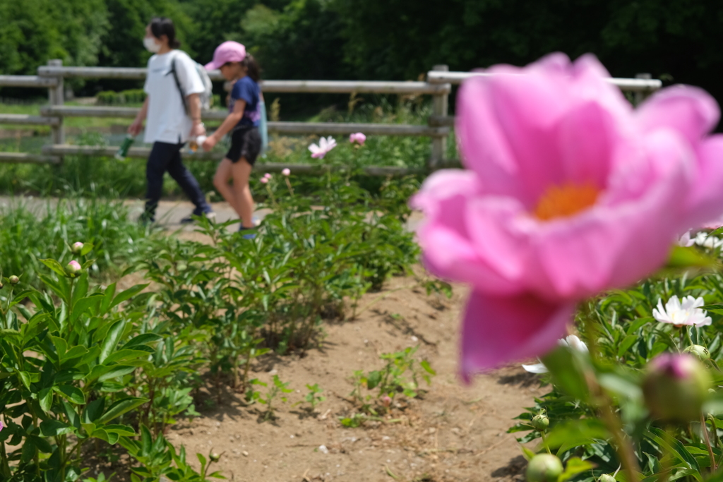 里山散歩