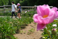 里山散歩