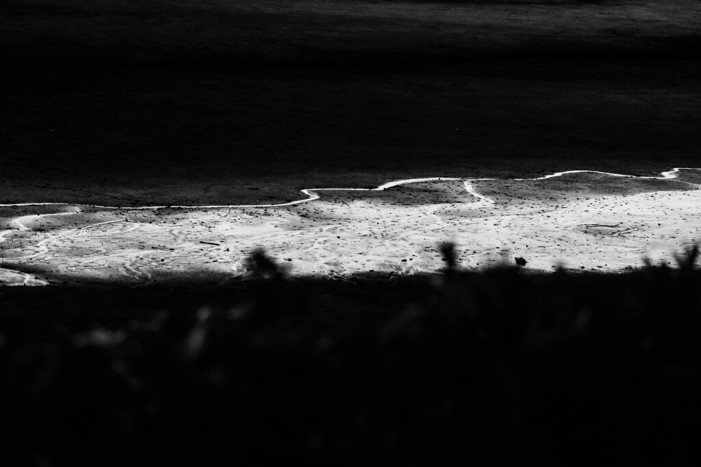 散歩道　