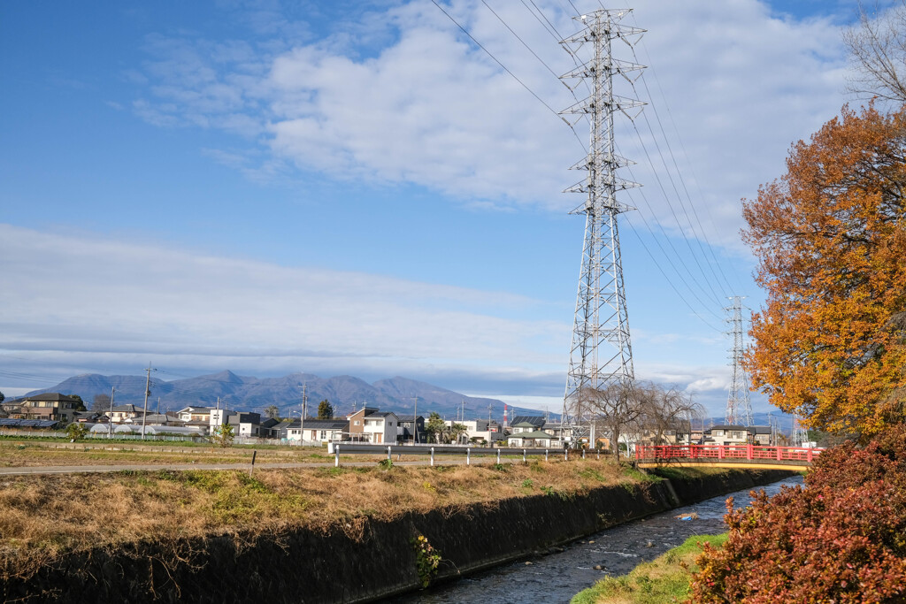 昼の散歩道