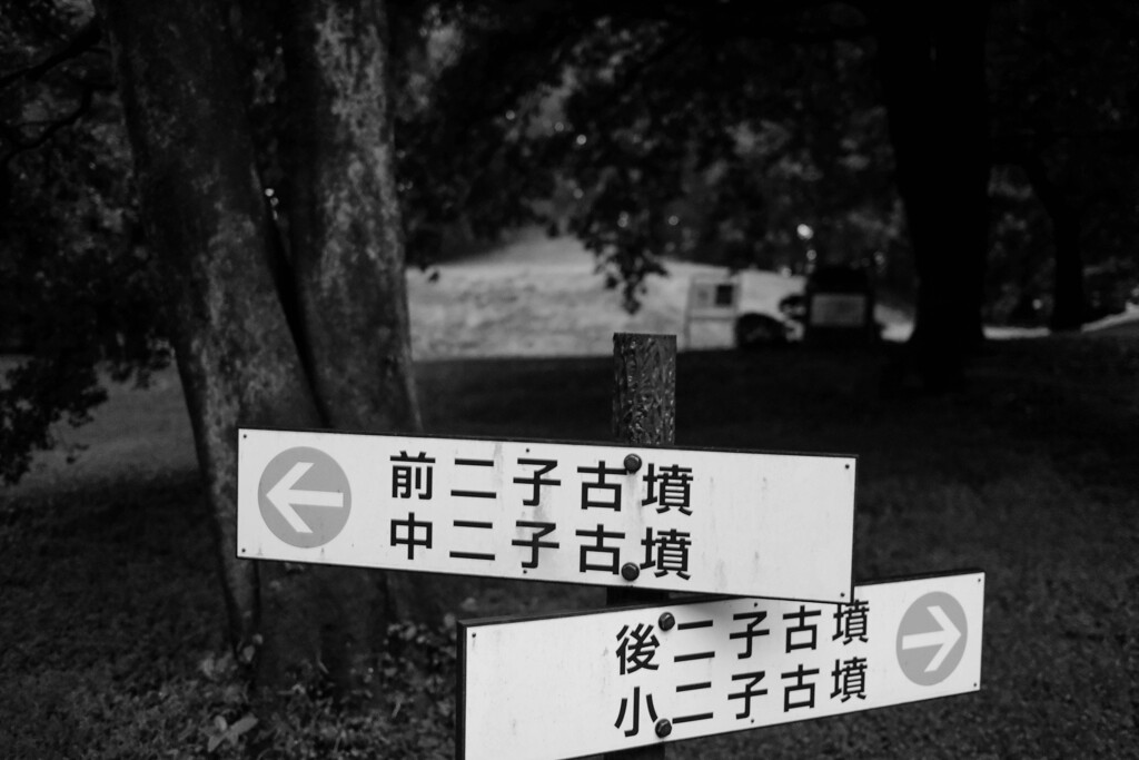 雨の朝