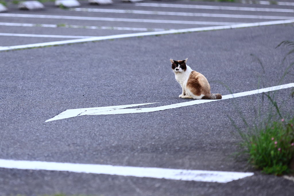 今日も‥お別れだね、