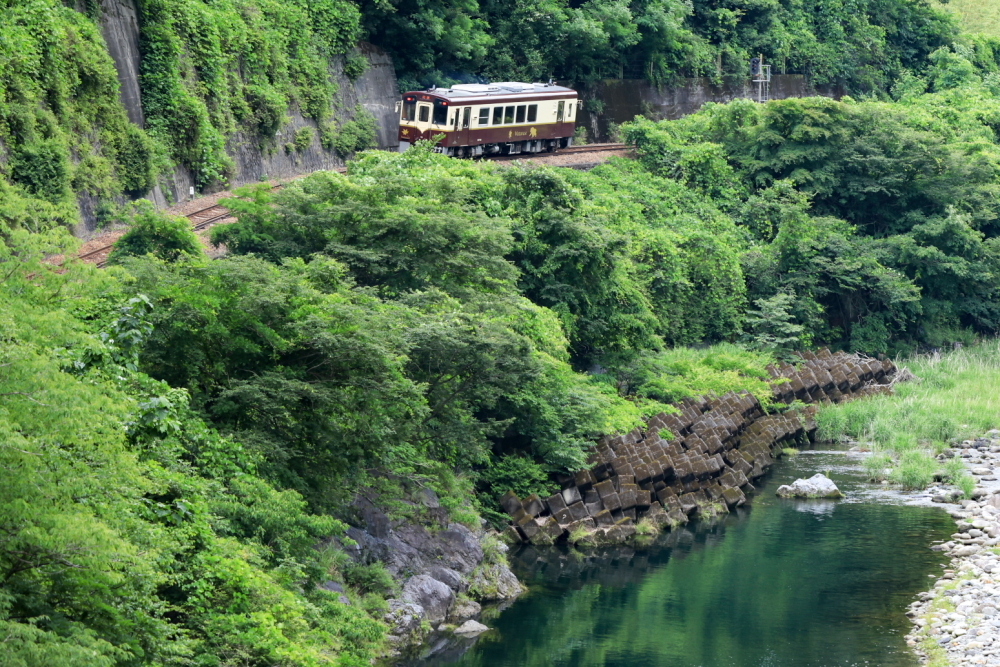 渡良瀬渓谷鉄道、