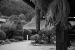 古民家の庭先