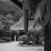 古民家の庭先