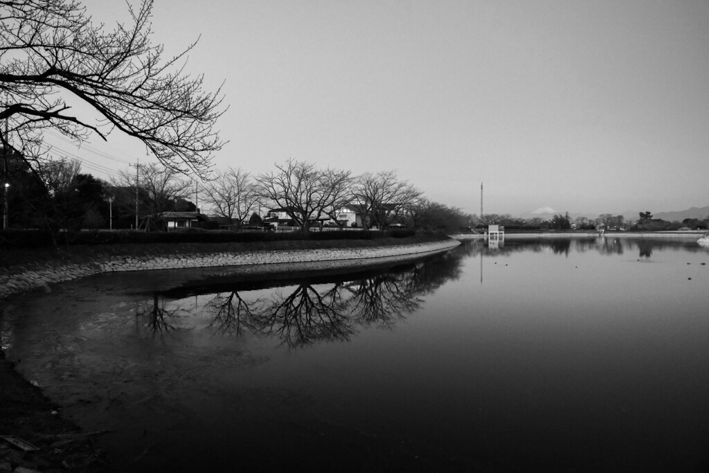散歩道 