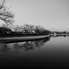 散歩道 