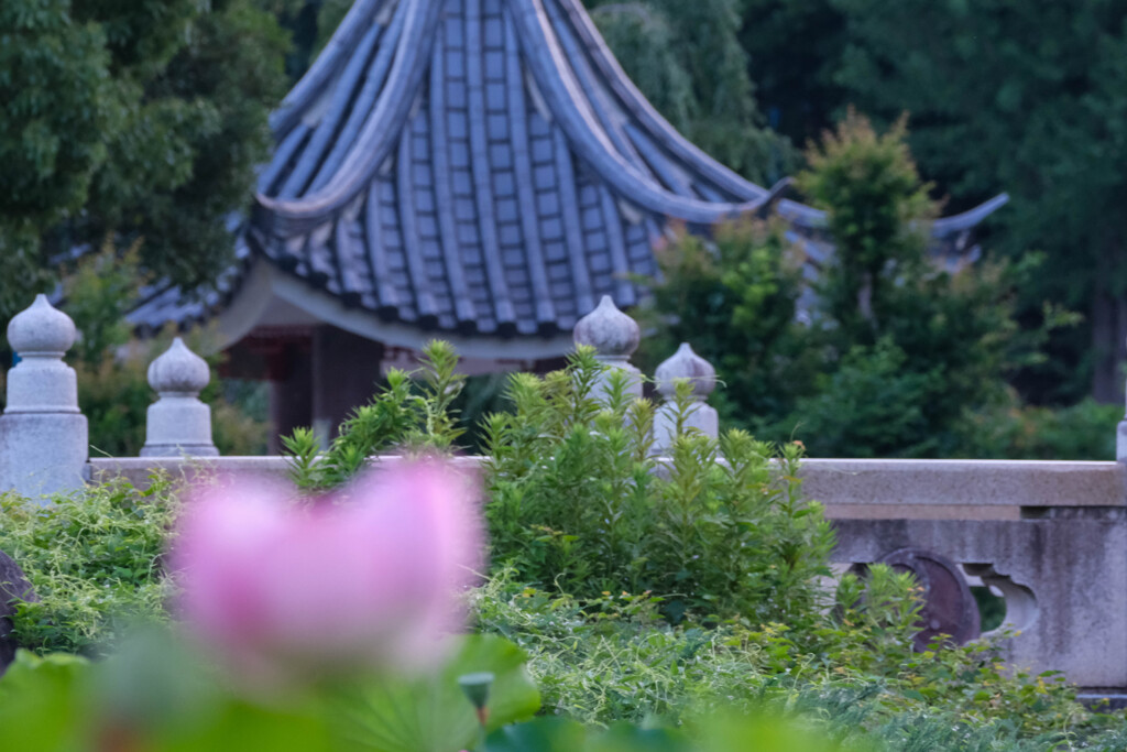 市民の杜