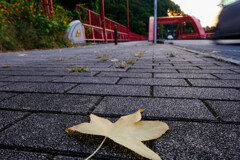 高津戸狭　散歩道