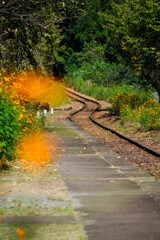 渡良瀬渓谷鉄道