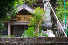 天徳寺 秋幡地区