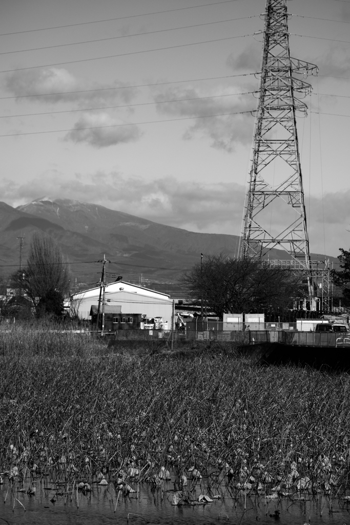 散歩道（伊与久沼）