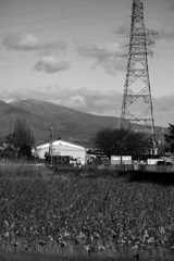 散歩道（伊与久沼）