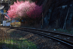 渓谷鉄道を訪ねて、群馬県