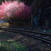 渓谷鉄道を訪ねて、群馬県