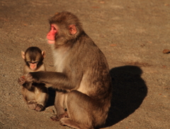 お母さんの手、w