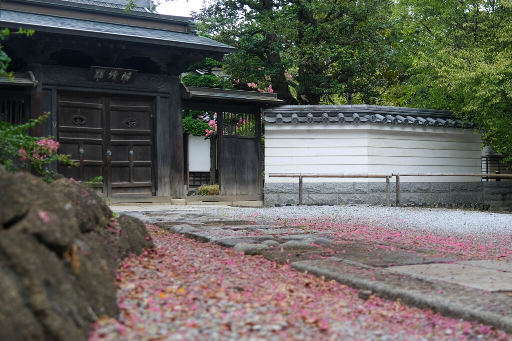 鑁阿寺（足利市）