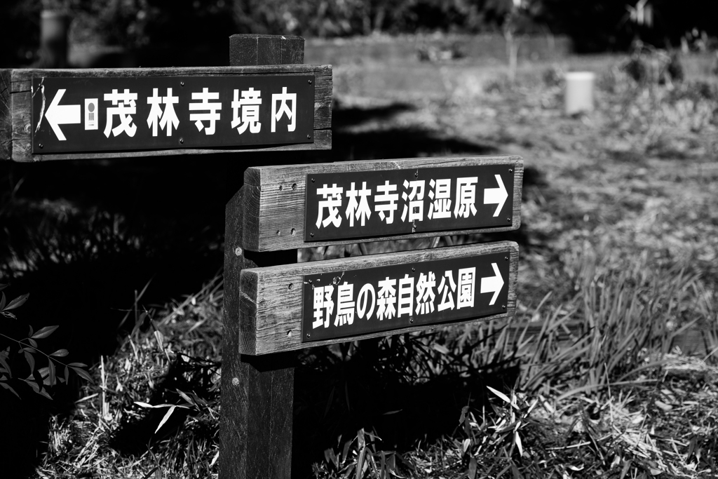 茂林寺の散歩道