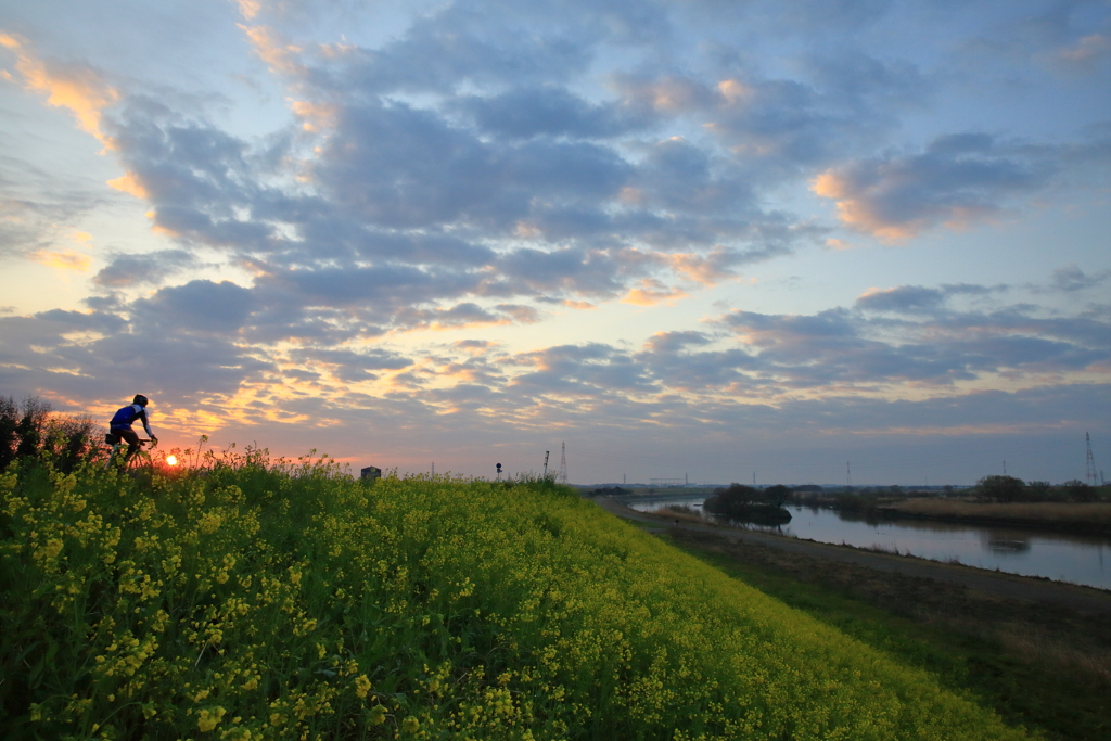 野田の朝、