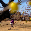 城址公園