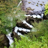 渓谷の魚道