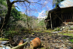 花は忘れない、