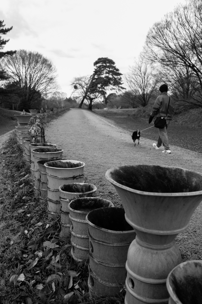 散歩道（古墳公園）