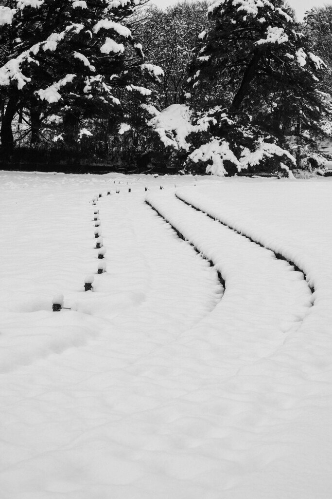 雪の朝　