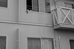 お留守番