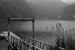 霧の碓氷湖