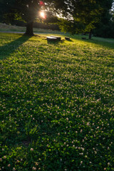 夜明けの公園