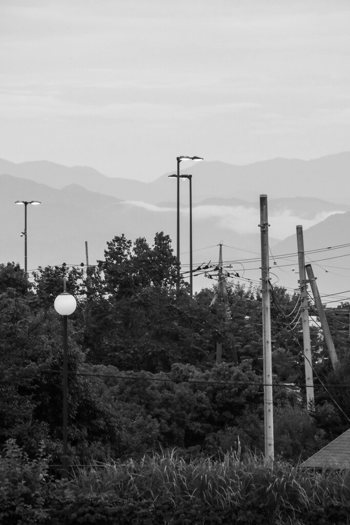 散歩道