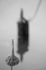 伊与久沼