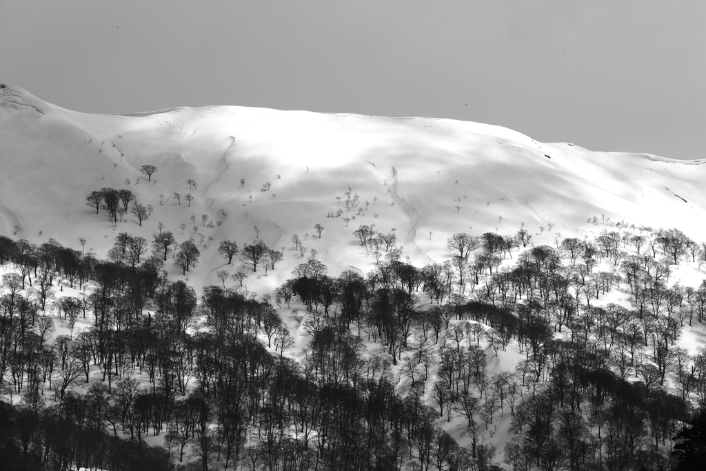 旅写真　雪山Ⅱ