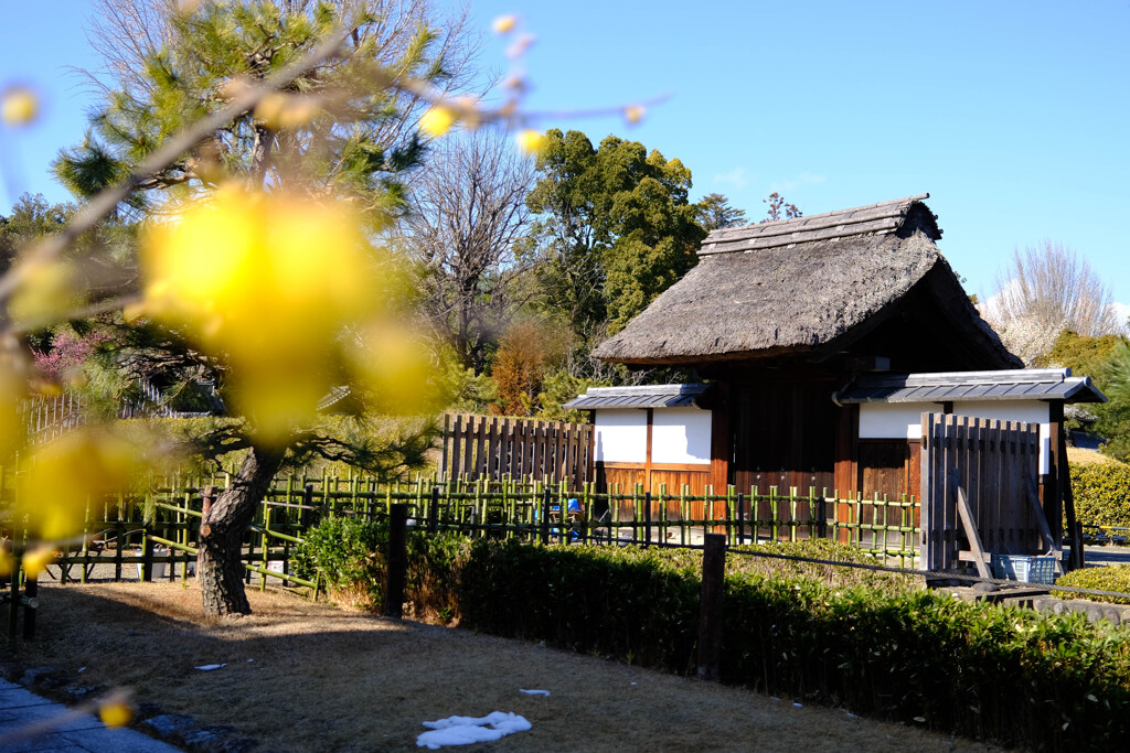 足利街歩き　足利学校