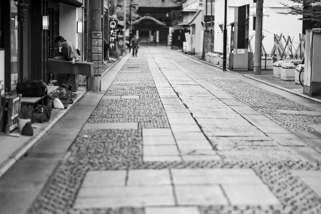 鑁阿寺　　参道