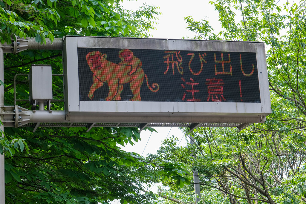 栃木旅