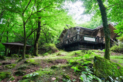 利平茶屋森林公園