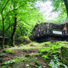利平茶屋森林公園