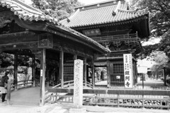 鑁阿寺散歩　